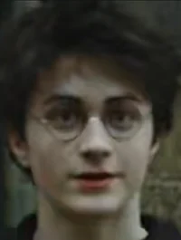 Twin of Harry Potter
