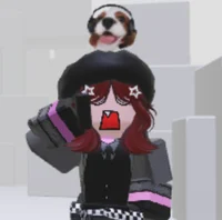 Brojustbe_funny-Rblx