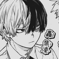 Shoto Todoroki