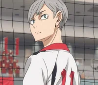 HQ - Lev Haiba
