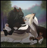 Wolf Family