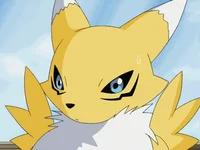 Renamon