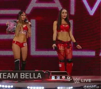 2015 Bella Twins