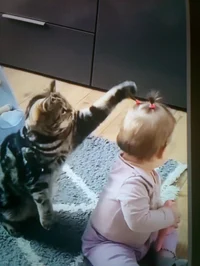 Cat n baby