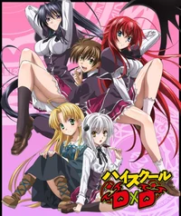 High School DXD