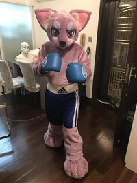 Boxing Fursuiter