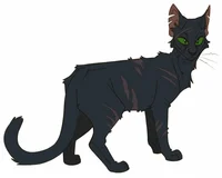 Сумрачная звезда