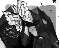 Mourning Butterflies