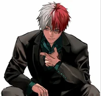 Shoto Todoroki 
