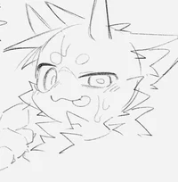 New Transfer Student