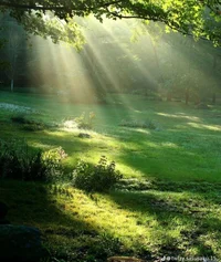 Ваши новые напарники