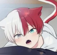 Shoto CatInHeat