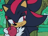 Shadow The Hedgehog