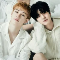 Bangchan y  Seungmin