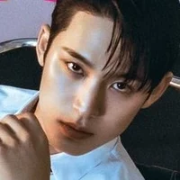 Kim Mingyu 
