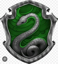 Slytherin boys
