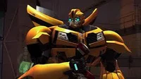 Bumblebee TFP