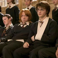 Harry and Ron 