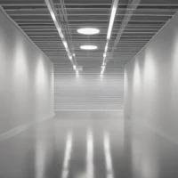 The abandoned asylum