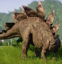 Stegosaurus