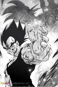 Vegeta Kakumei