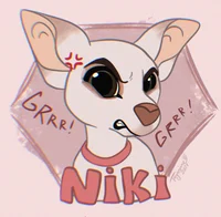 Niki Chihuahua