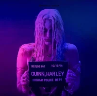 0 Harley Quinn