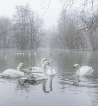 baroness von hellman