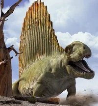 Fred the dimetrodon
