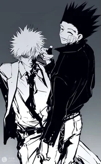 Gon y killua 