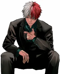 Shoto Todoroki