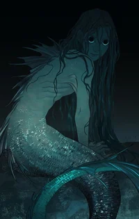 The experiment