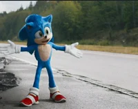 Sonic the hedgehog 