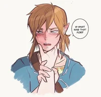 Link BOTW 