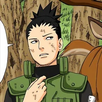 Shikamaru Nara