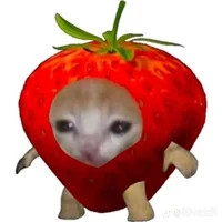 basically me UPDATED