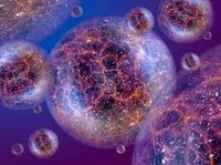 Multiverse 1