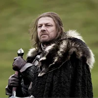 Eddard Stark 