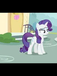 Rarity