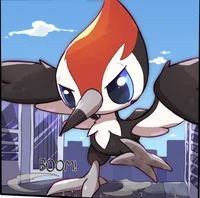 Macro Pikipek