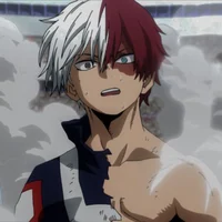 Shoto Todoroki