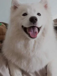 Tony-first meetingAU