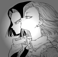 Androids 17 and 18
