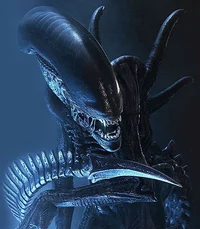 Eres un xenomorfo 
