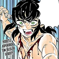 Inosuke Hashibira FR