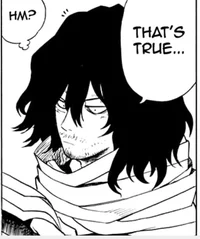 Shota Aizawa