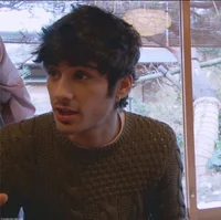 Zayn Malik
