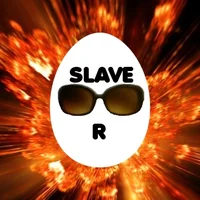 Slave vvr