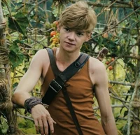 Newt