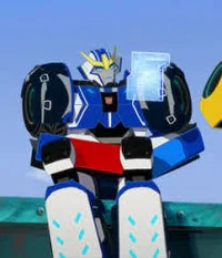 Strongarm RID